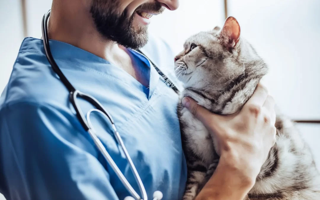 SEO for Veterinarians: Boost Your Clinic’s Online Presence