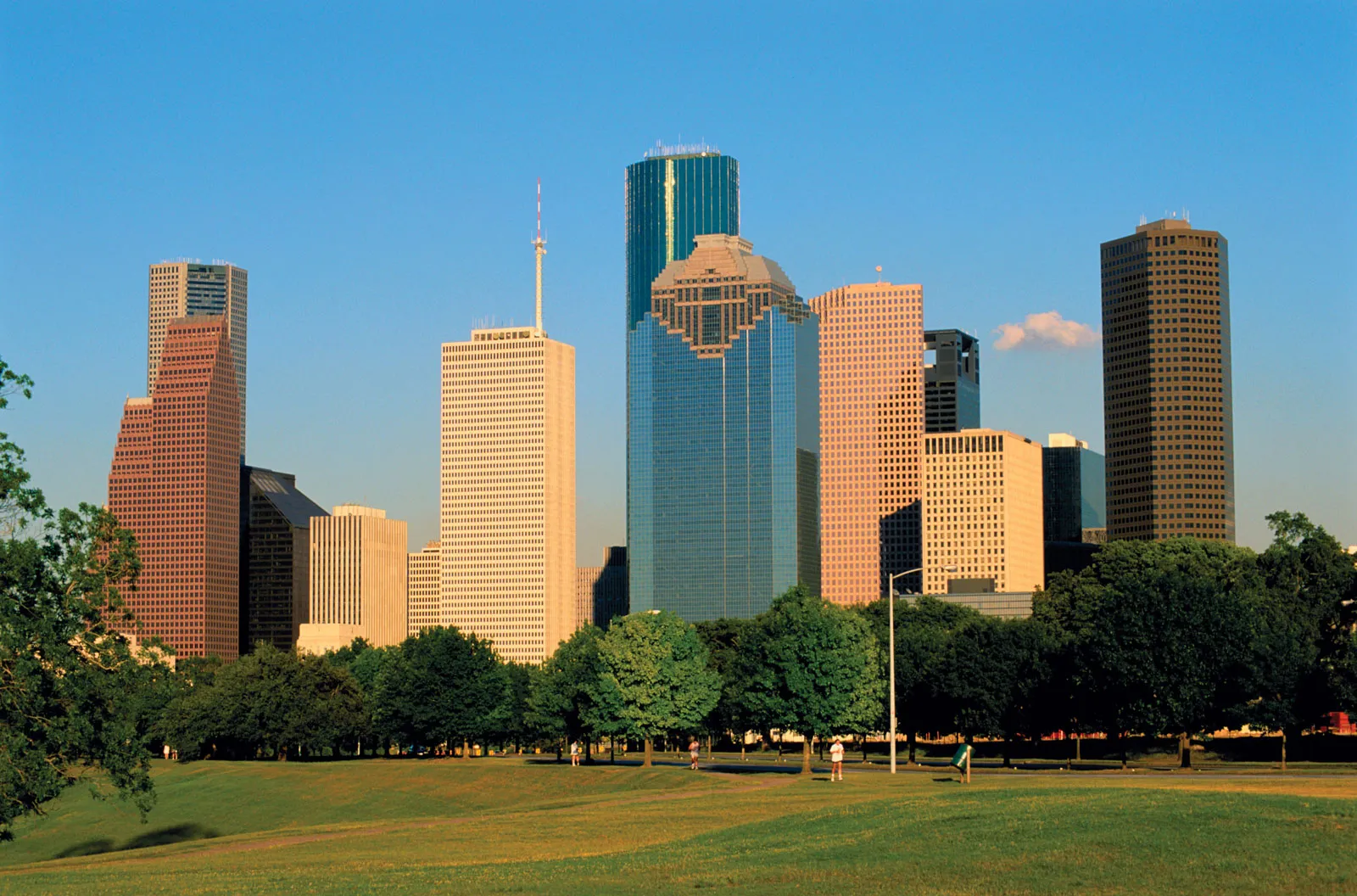 Smiling digital marketing specialist analyzing SEO data for a local Houston business.